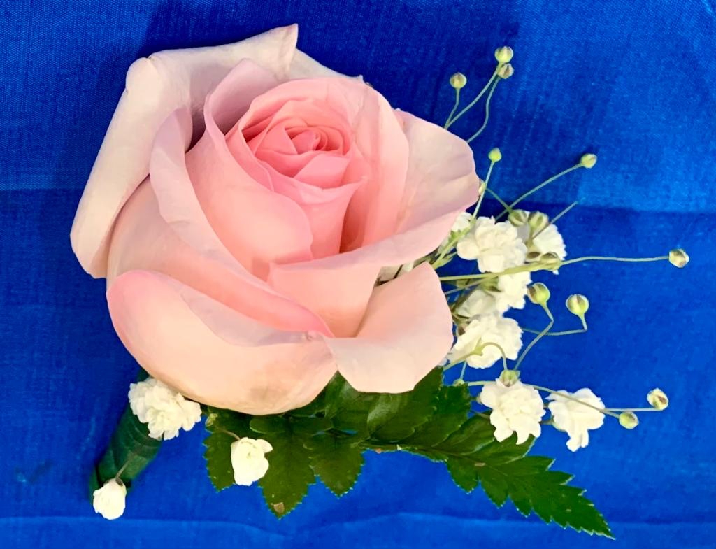 Pink rose boutineer