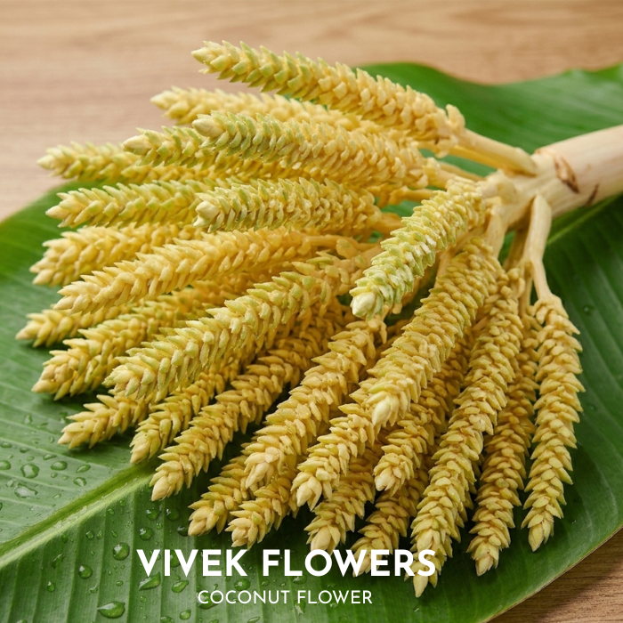 Coconut Flower