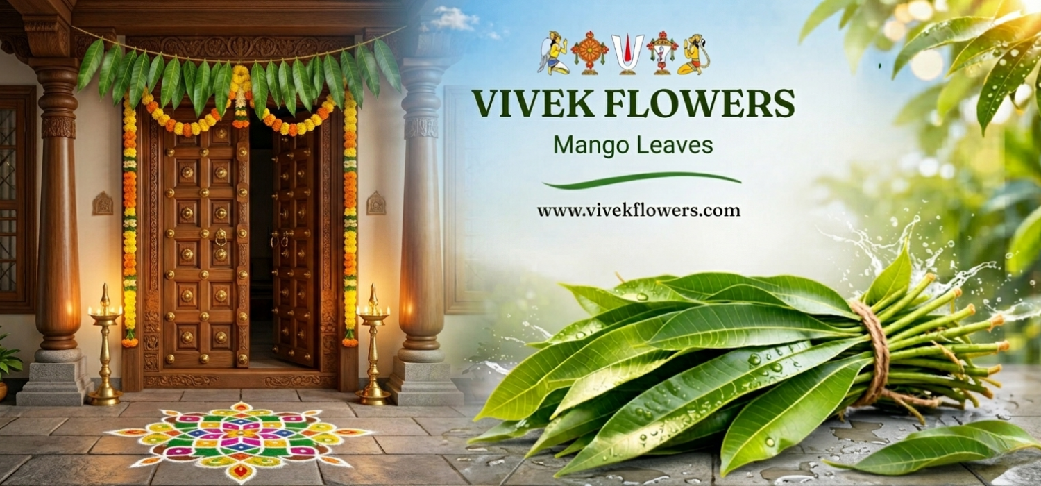 Mango Leaves