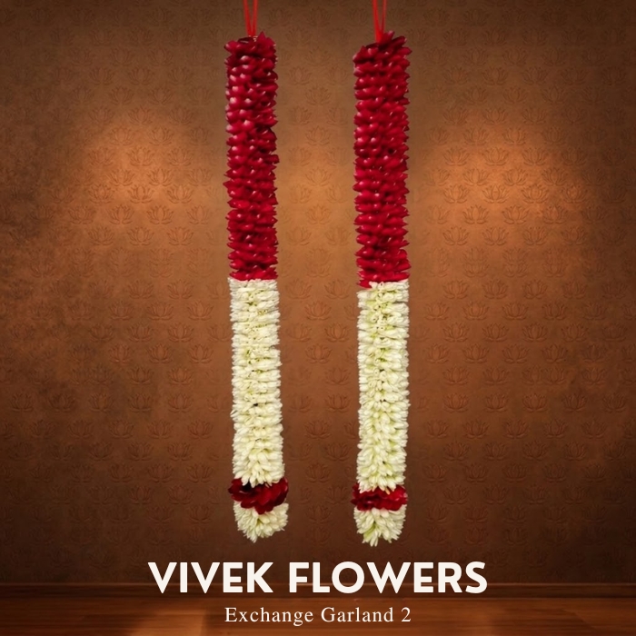 Exchange Garland-2-3ft