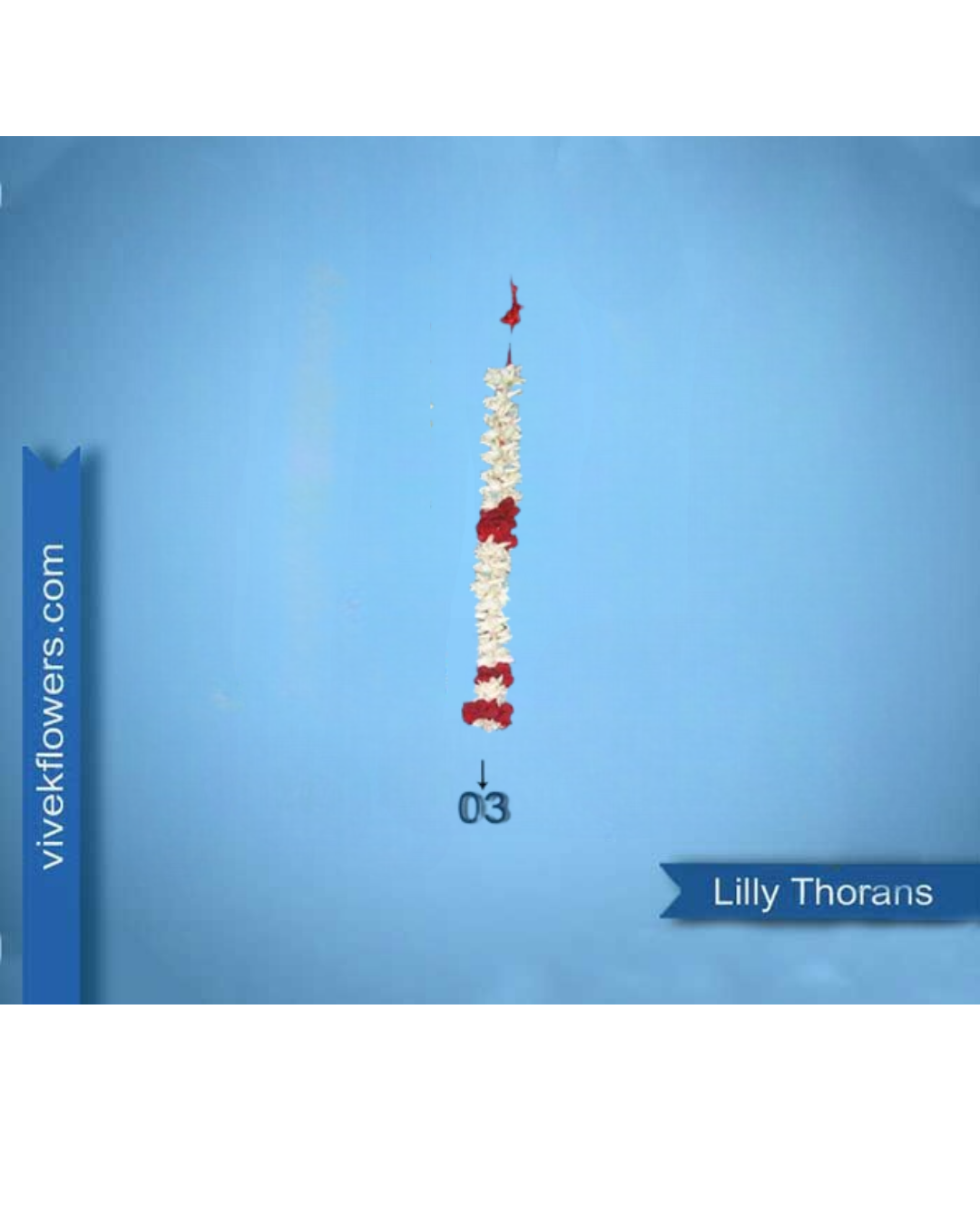 Lilly Toran - Design 03