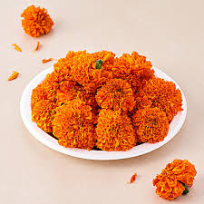 Marigold Loose Orange