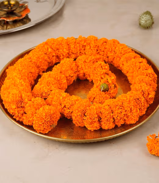 Marigold Strings Orange