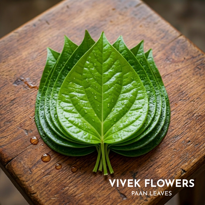 Paan Leaves (Betel Leaves) (Test)